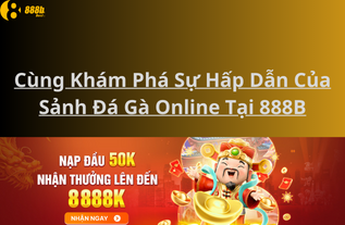  Cùng Khám Phá Sự Hấp Dẫn Của Sảnh Đá Gà Online Tại 888B